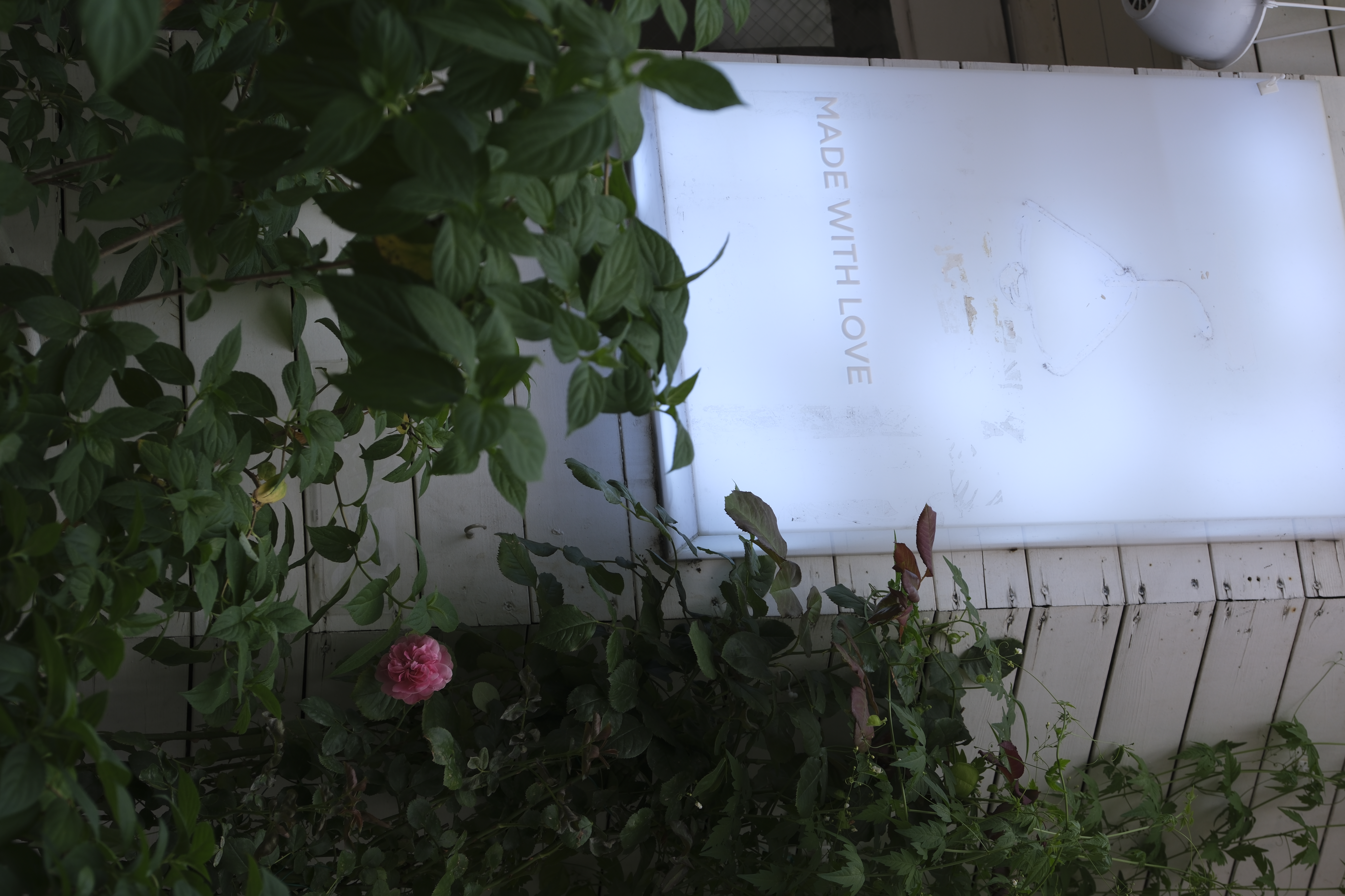 pub blanc article cover